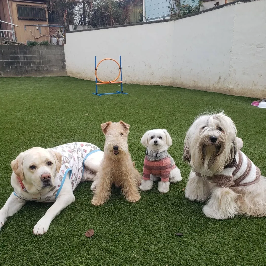 寒い冬がやってきました☃️