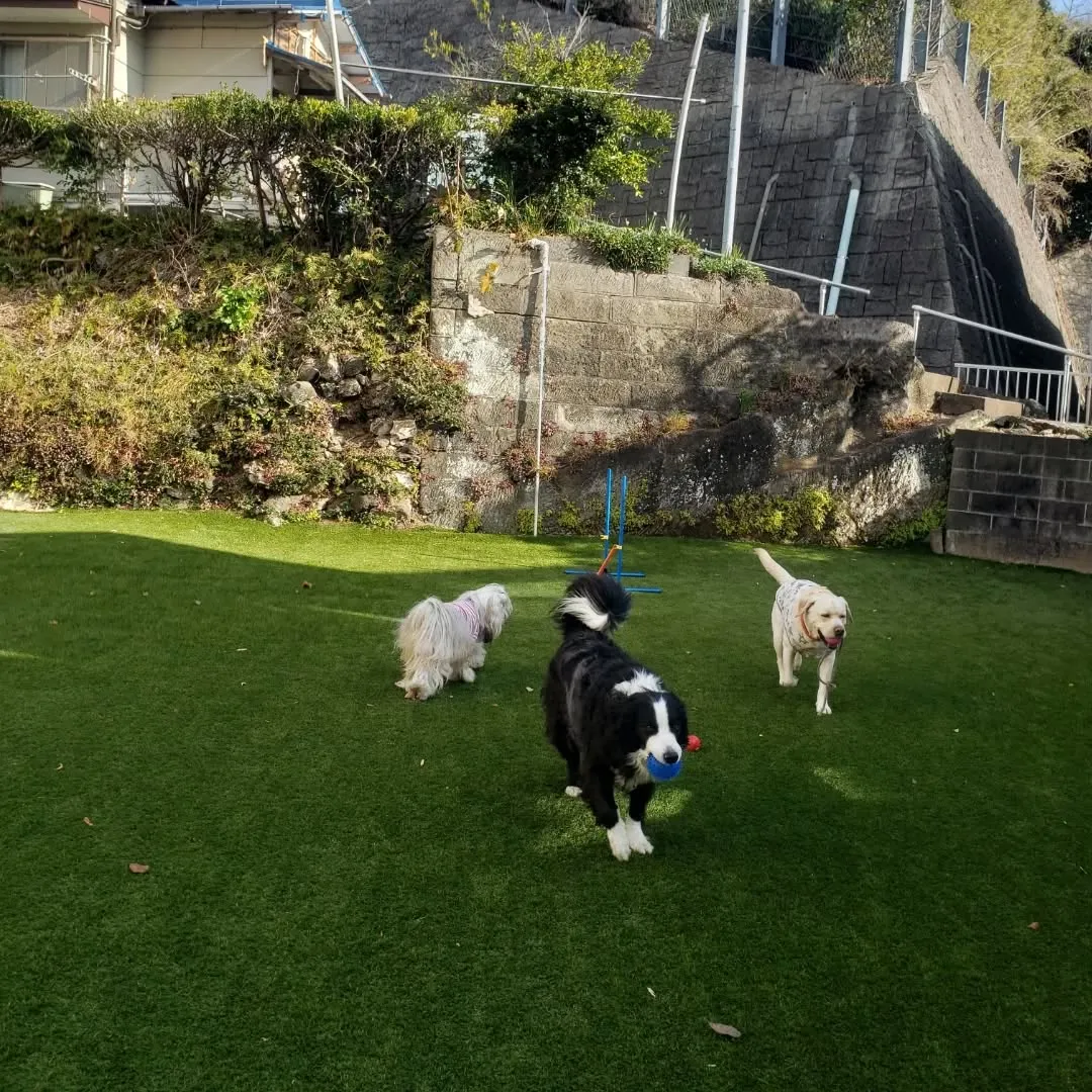 シャンプーできてくれたサンクス君♥️