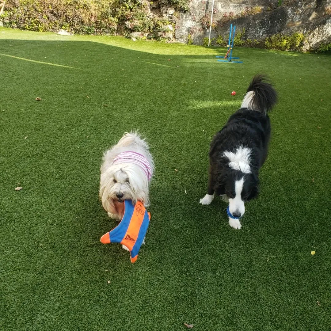 シャンプーできてくれたサンクス君♥️