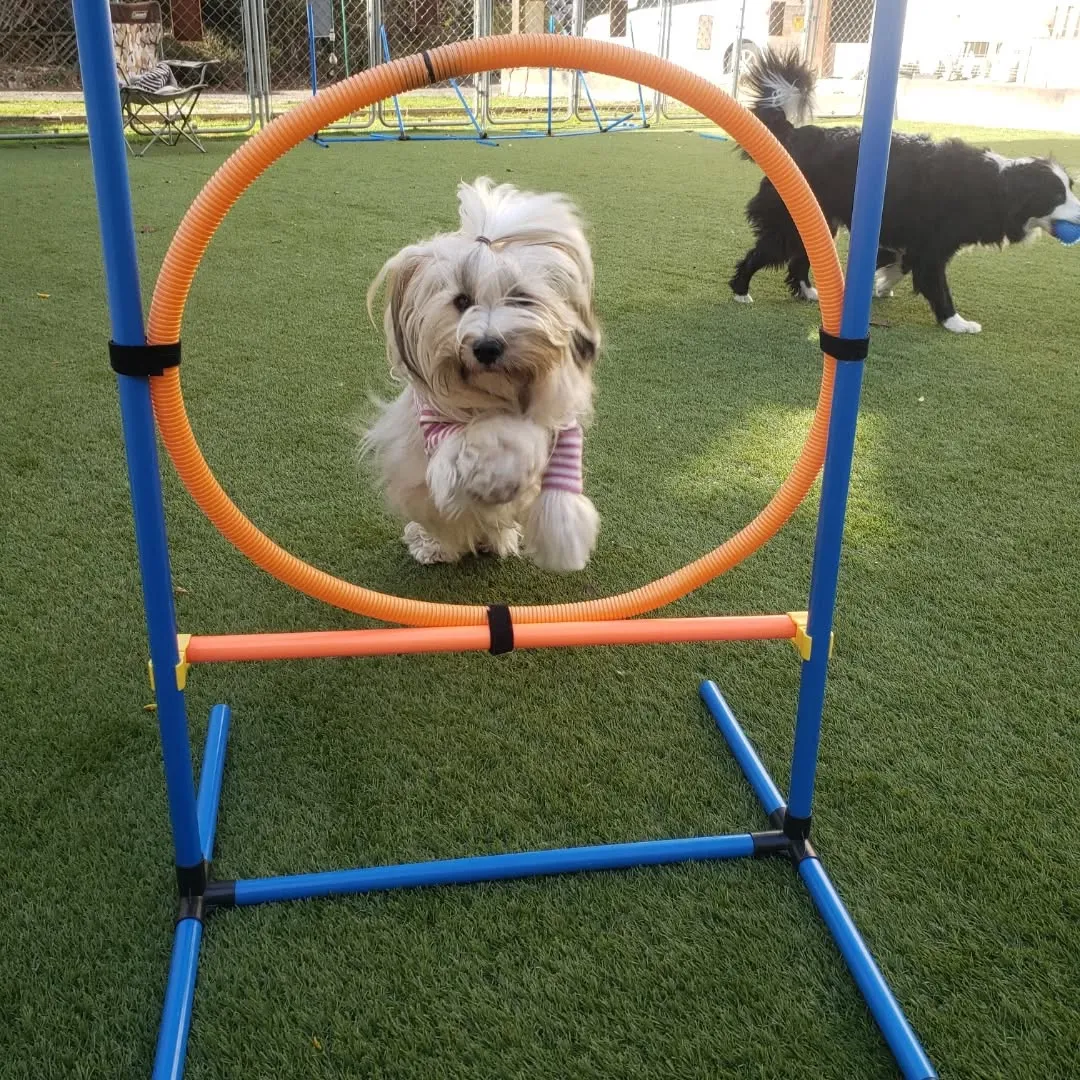 シャンプーできてくれたサンクス君♥️