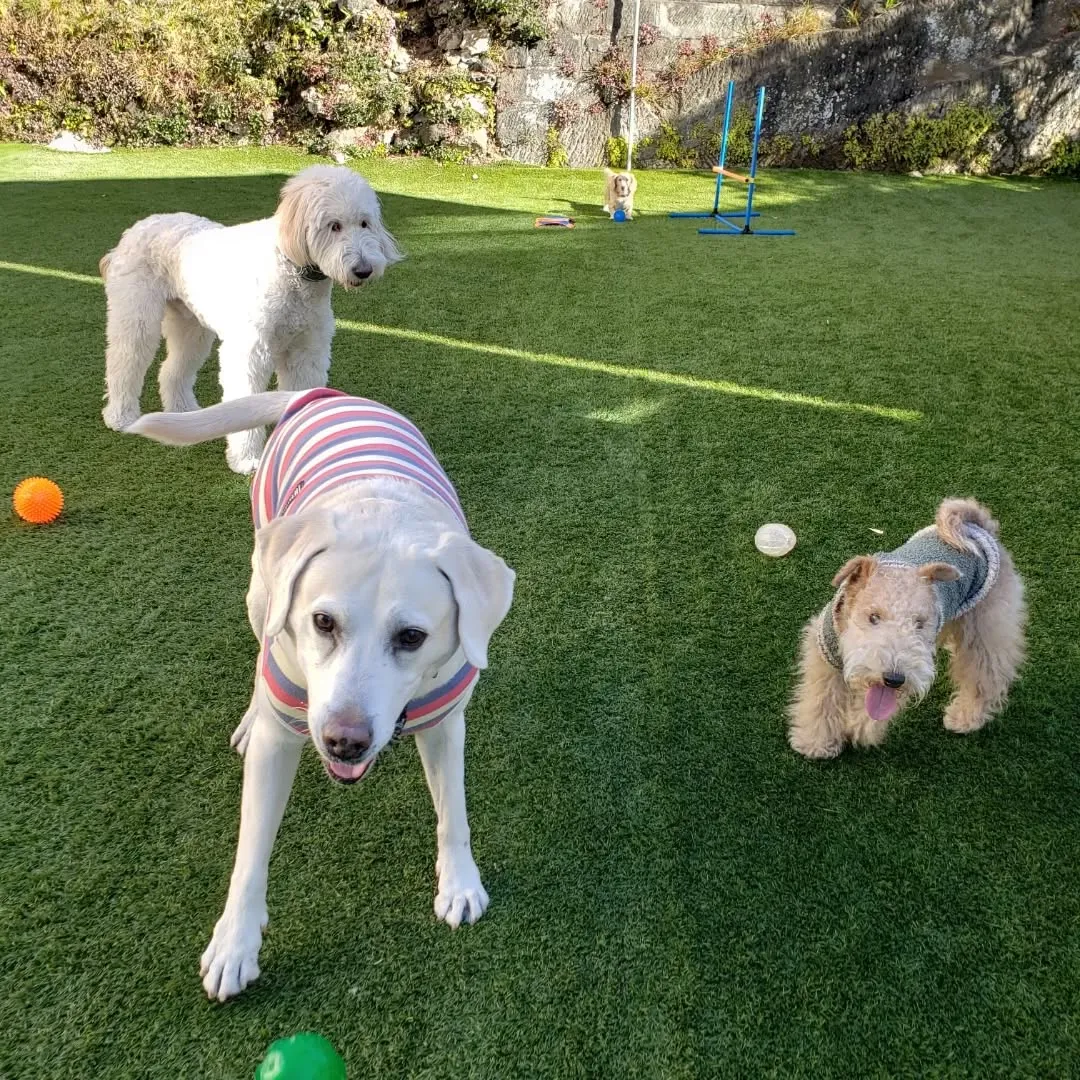 朝はお散歩へ行ってきました😊