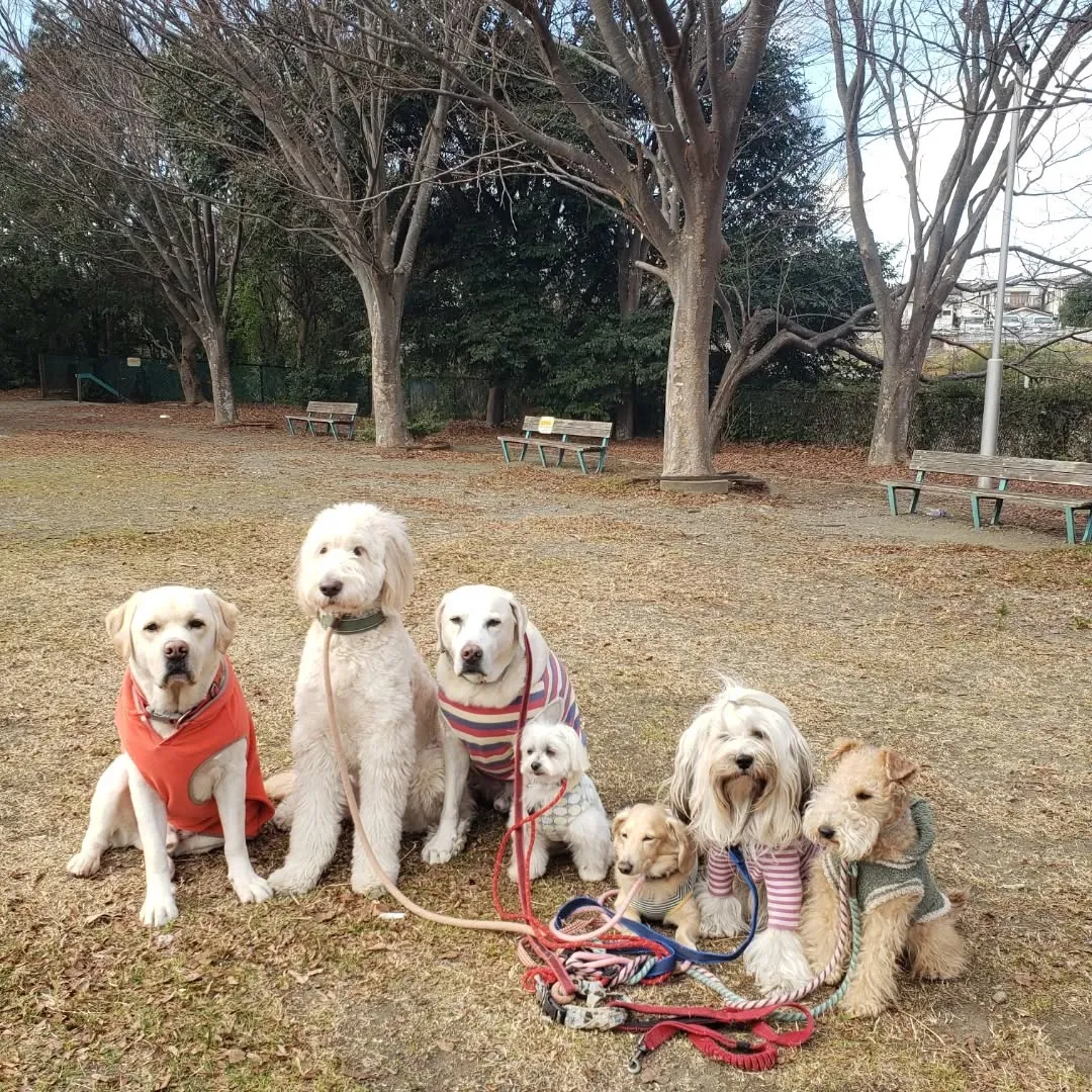 ランで遊ぶ前はお散歩にいきます。