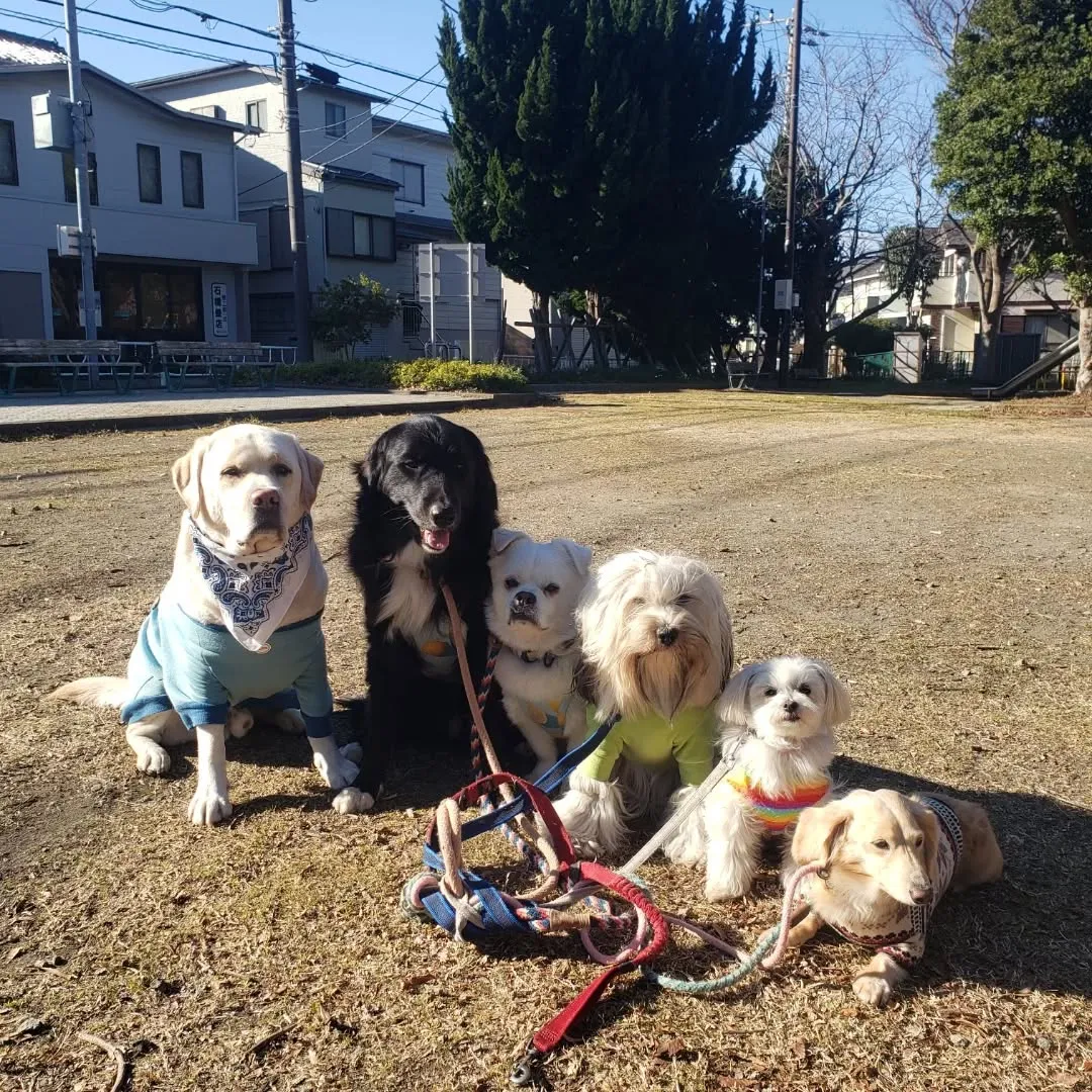 朝はみんなでお散歩へ🎵