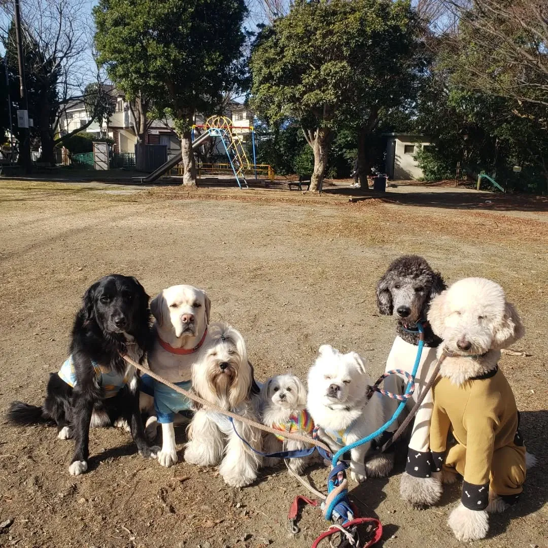 朝はかなり冷えます❄️