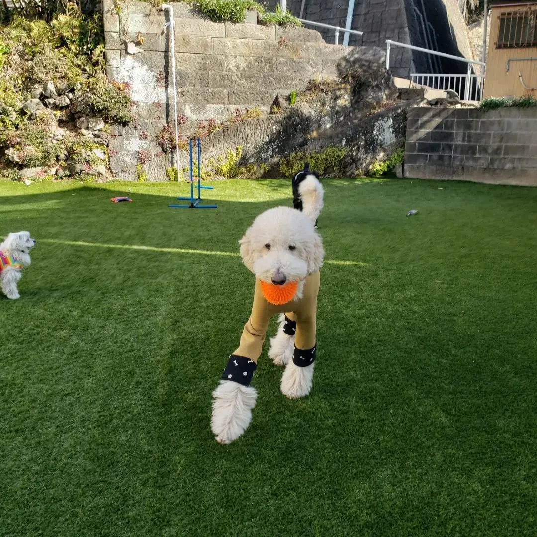 朝はかなり冷えます❄️