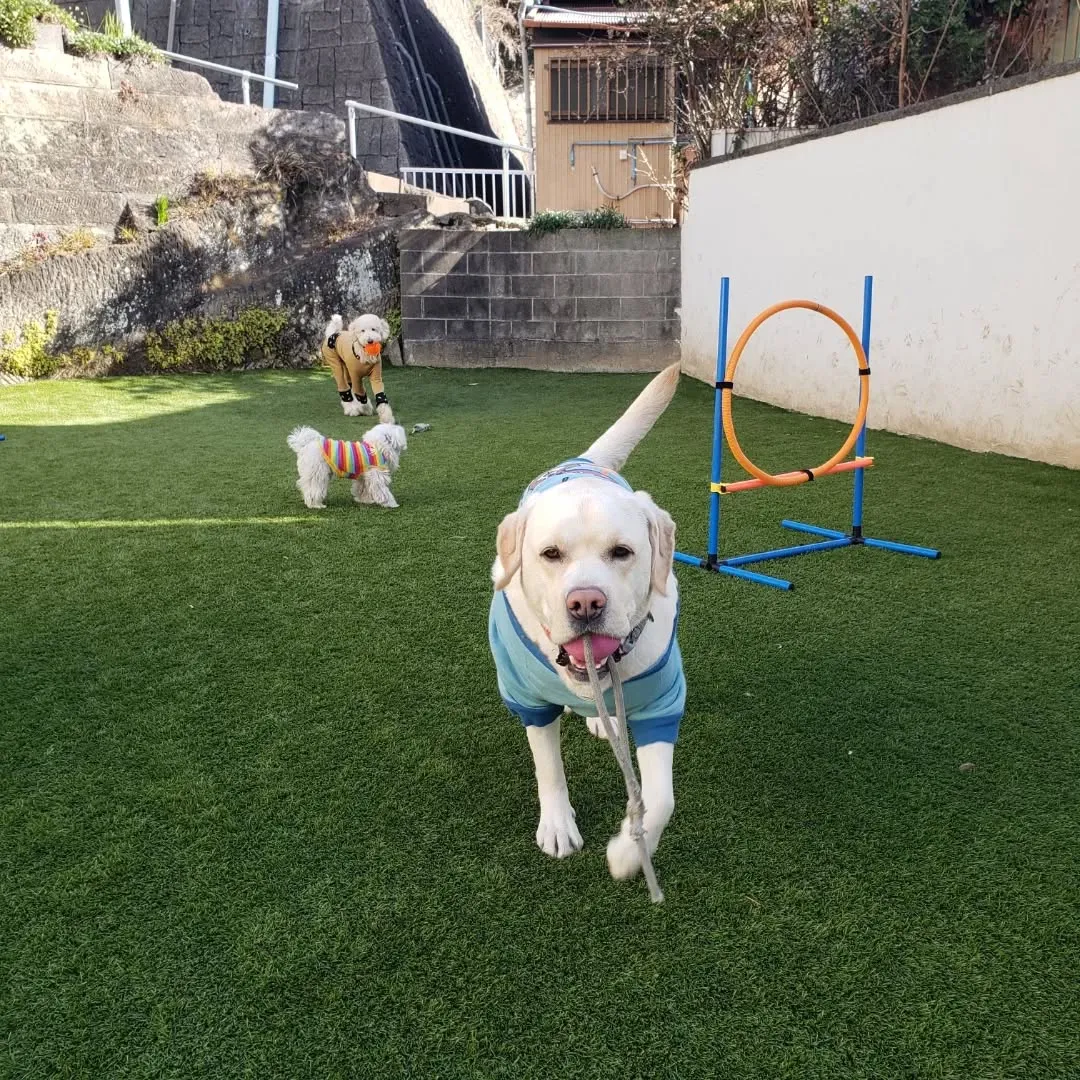 朝はかなり冷えます❄️