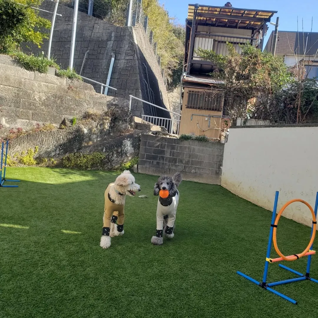 朝はかなり冷えます❄️