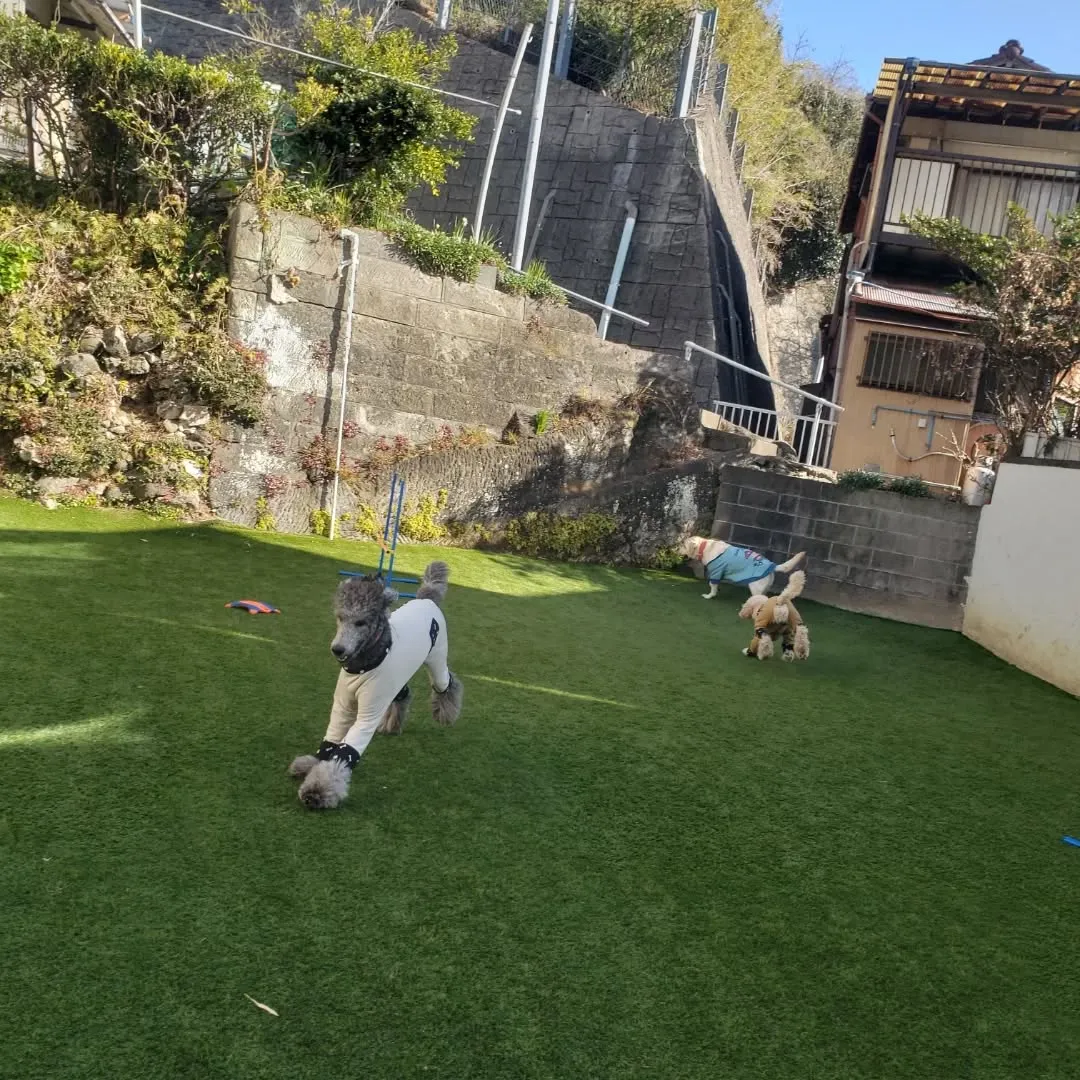 朝はかなり冷えます❄️