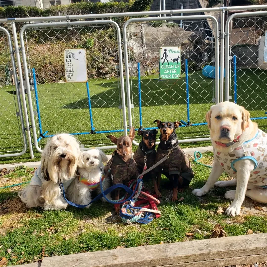 朝はかなり寒かったですがお散歩へ行ってきました😊