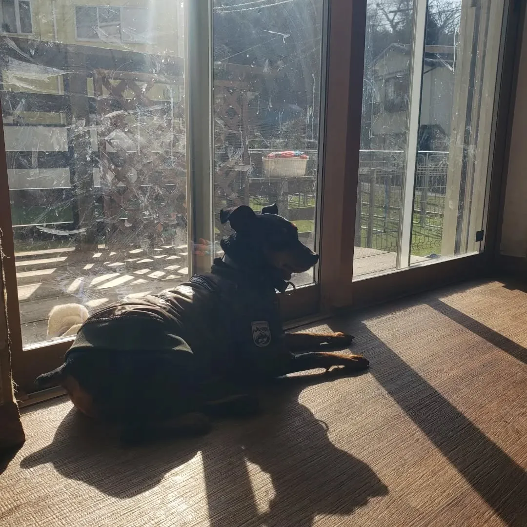 朝はかなり寒かったですがお散歩へ行ってきました😊