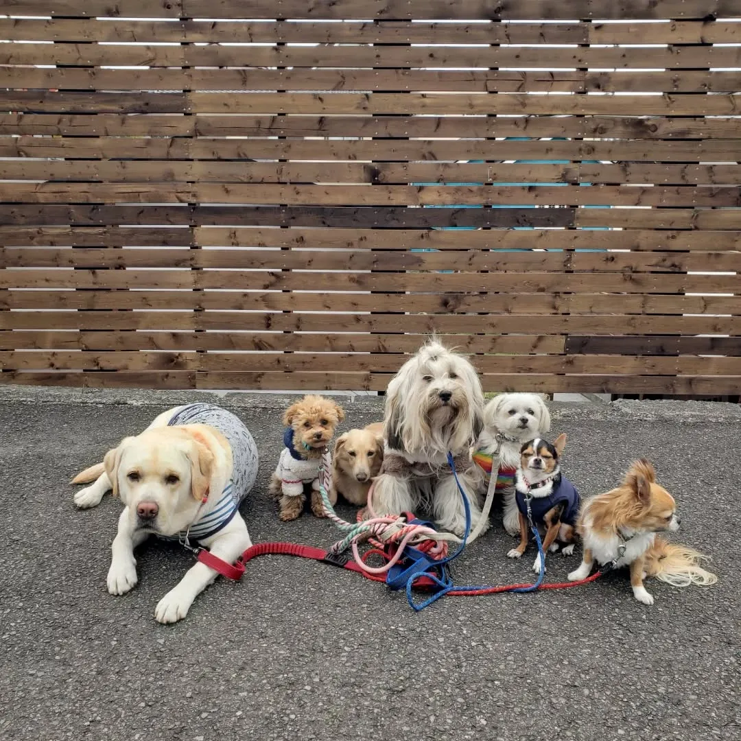 ちびっこがたくさん来てくれました😊