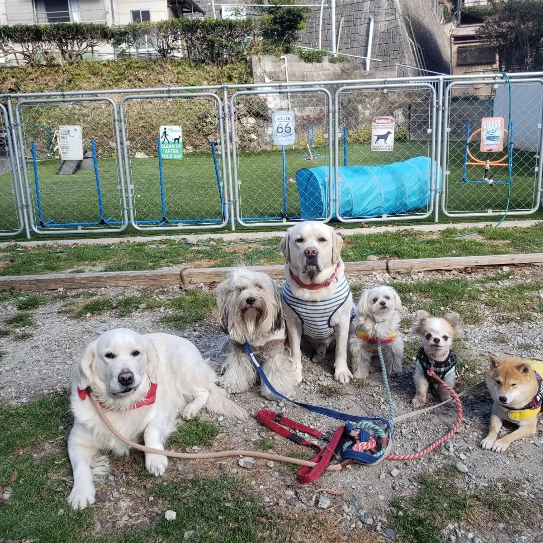 午後からゆきちゃんもくわわりました😊