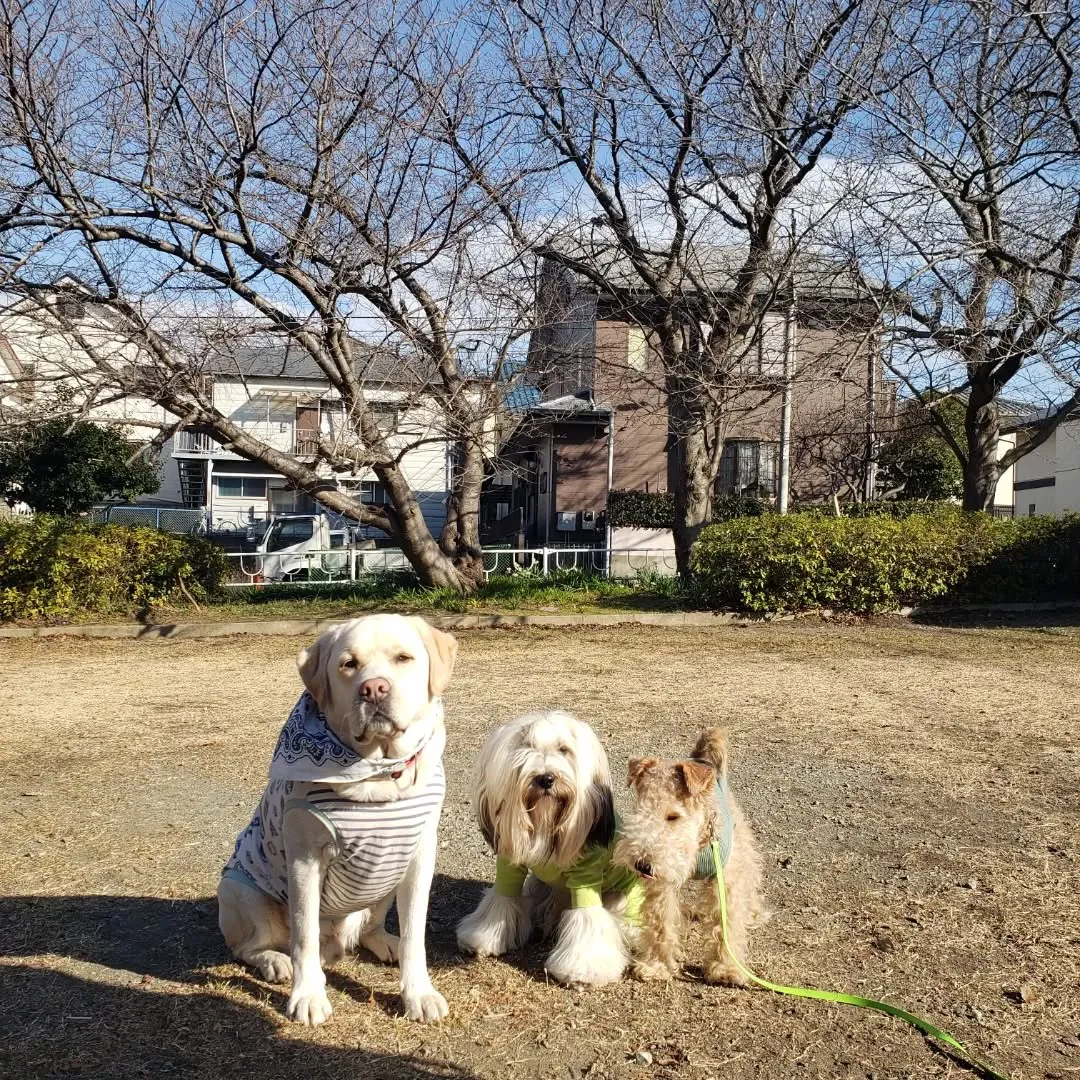 トレーニングに来てくれたラッキー君♥️