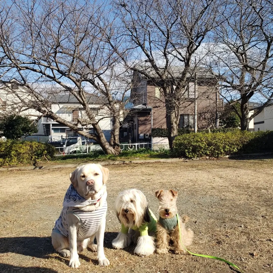 トレーニングに来てくれたラッキー君♥️