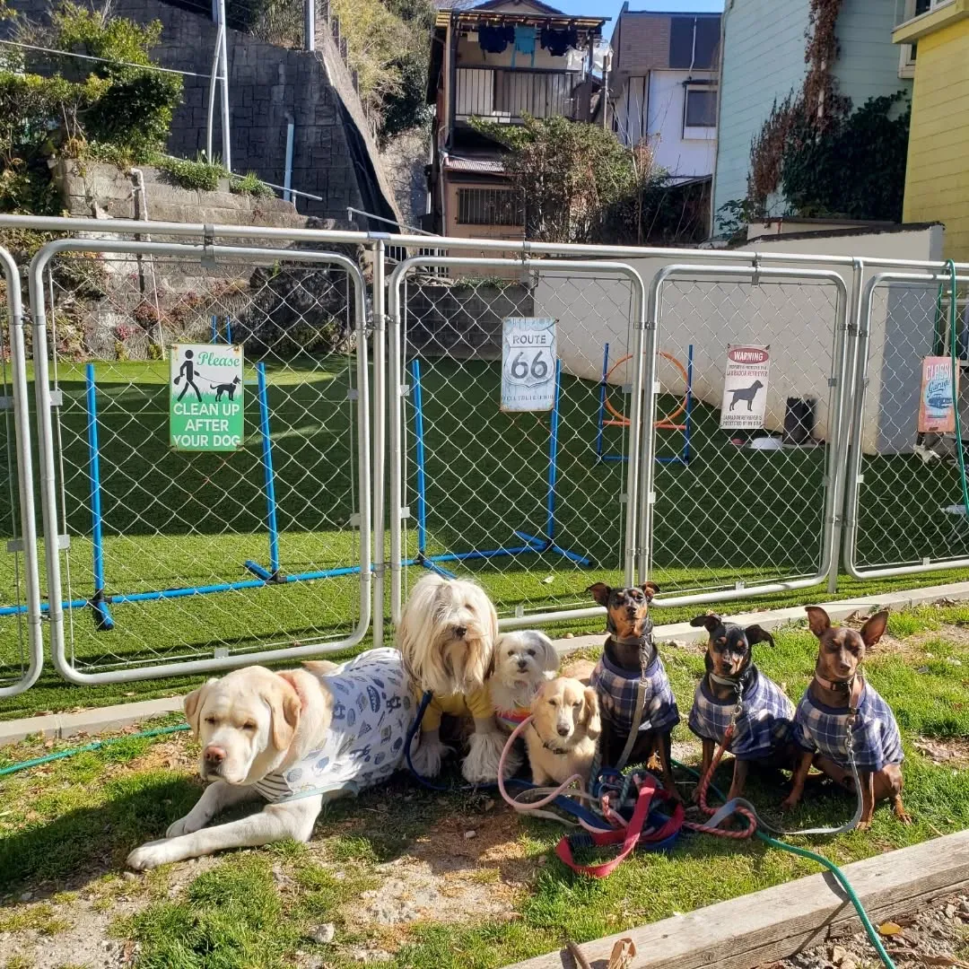 朝はみんなでお散歩へ🎵