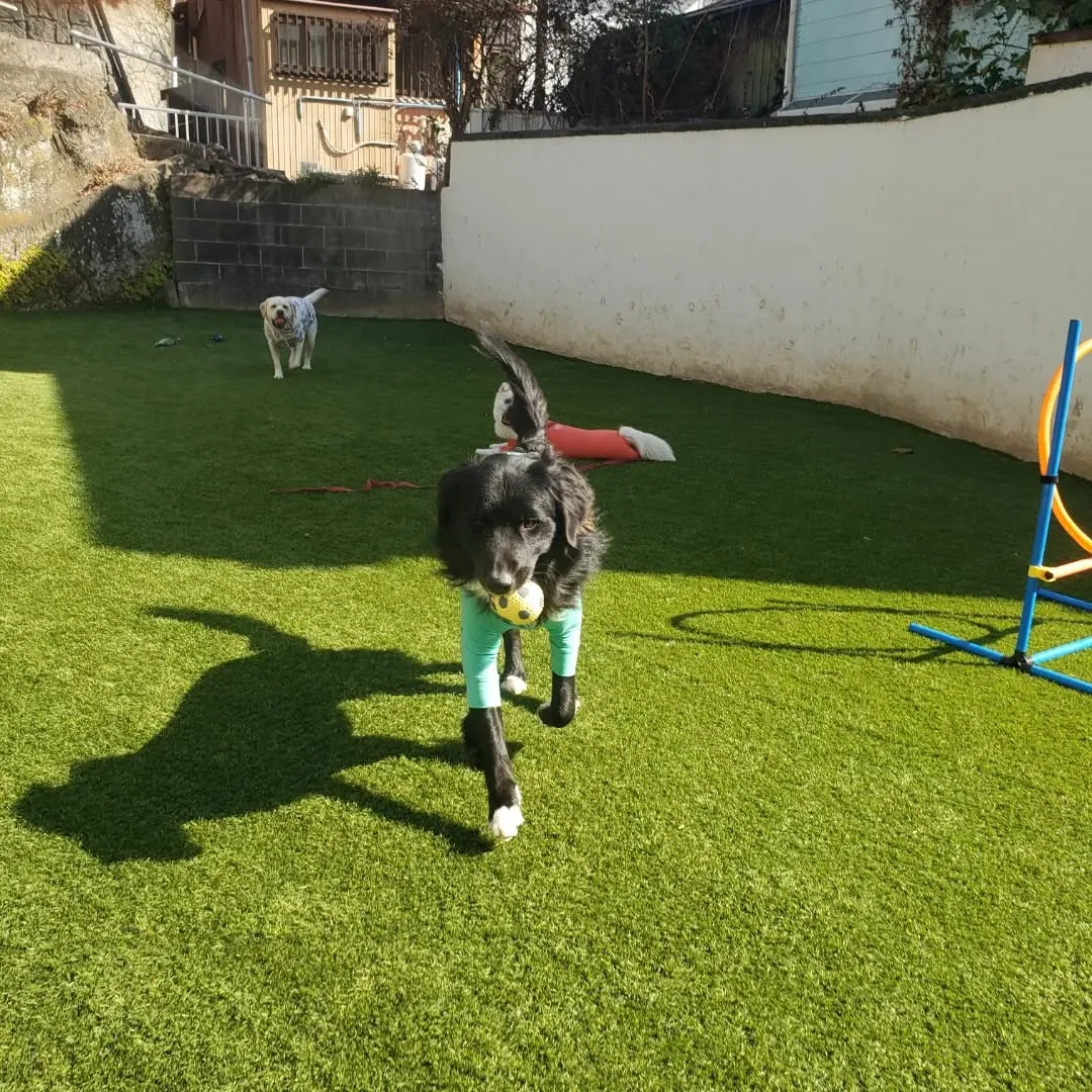 おっきい組もランで楽しく遊んでいます😊