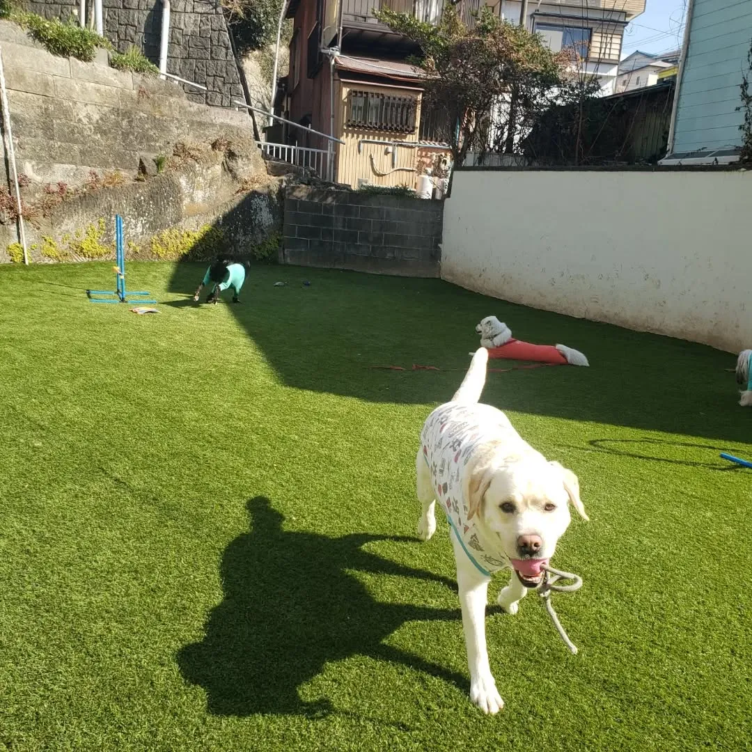 おっきい組もランで楽しく遊んでいます😊