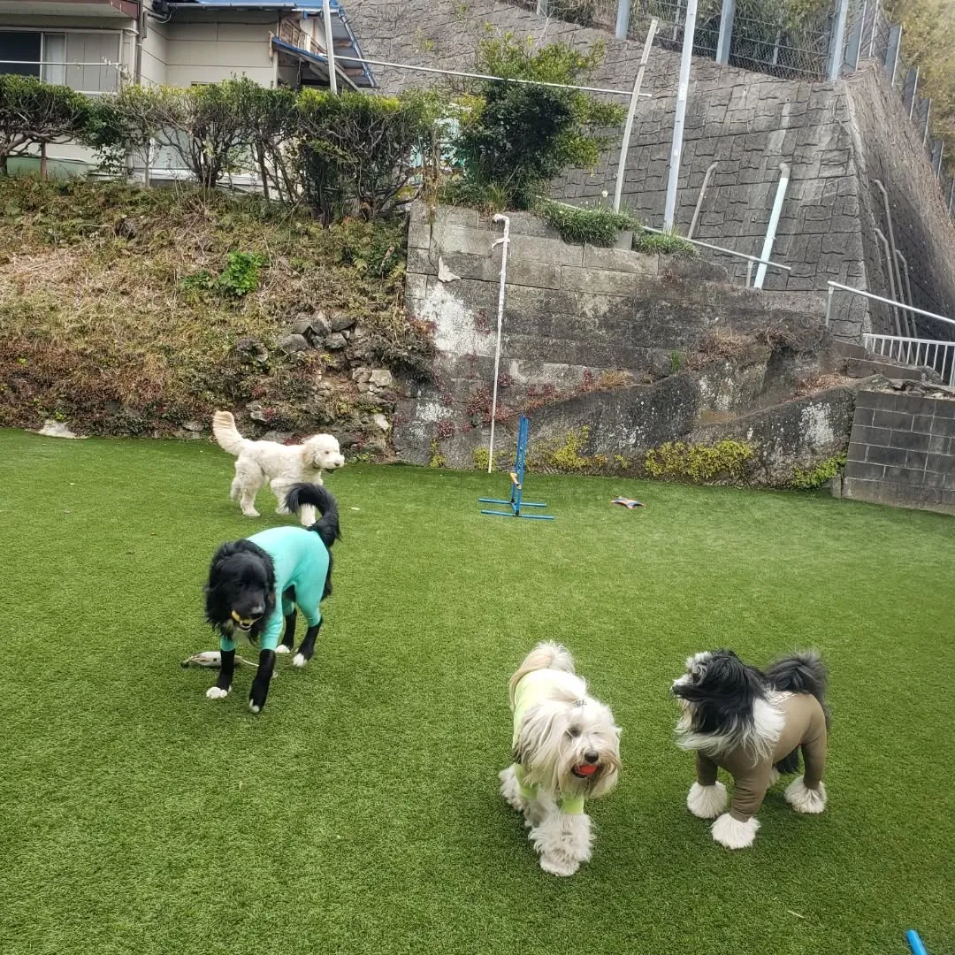 朝はみんなでお散歩へ🎵