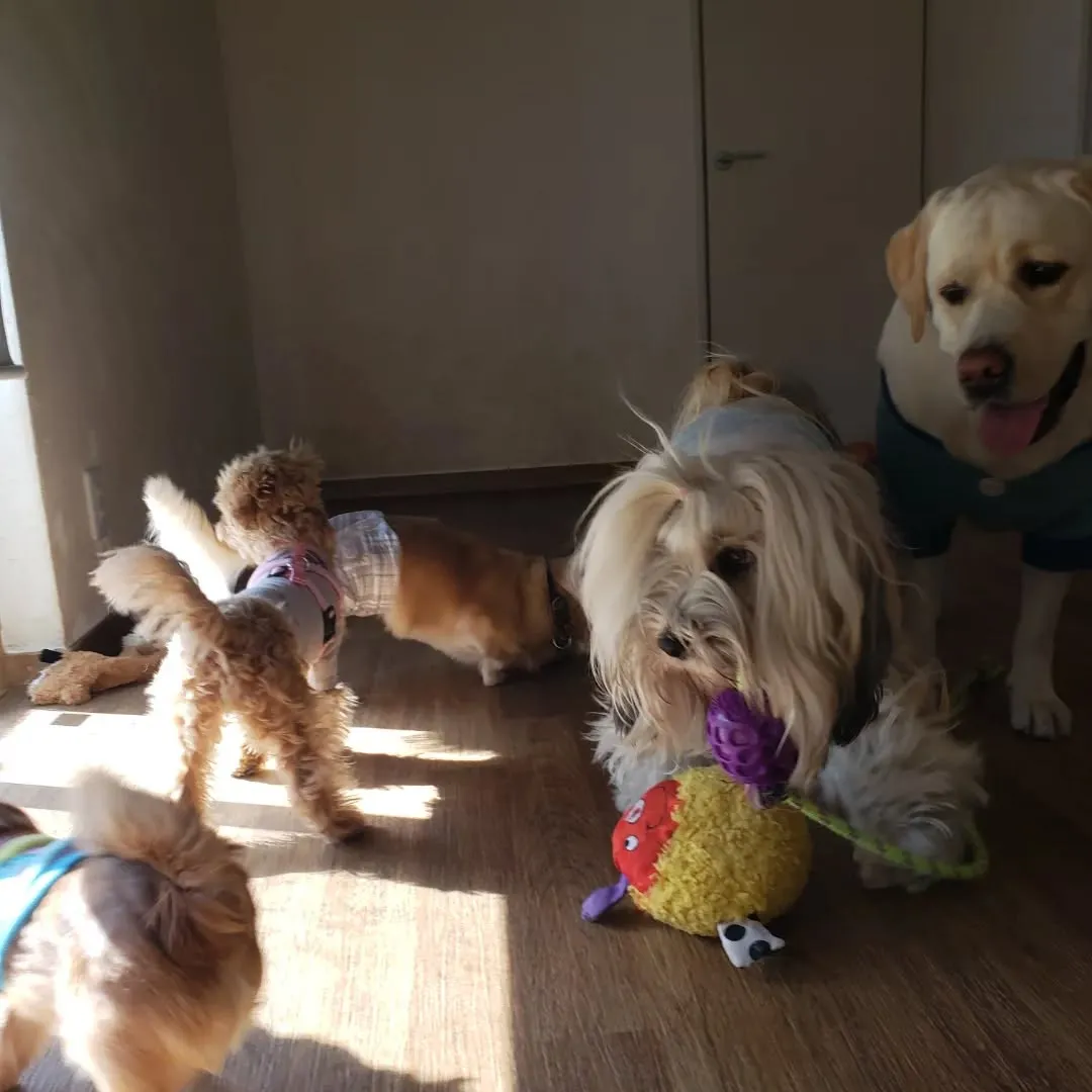 たくさんのちびっこが来てくれました😊