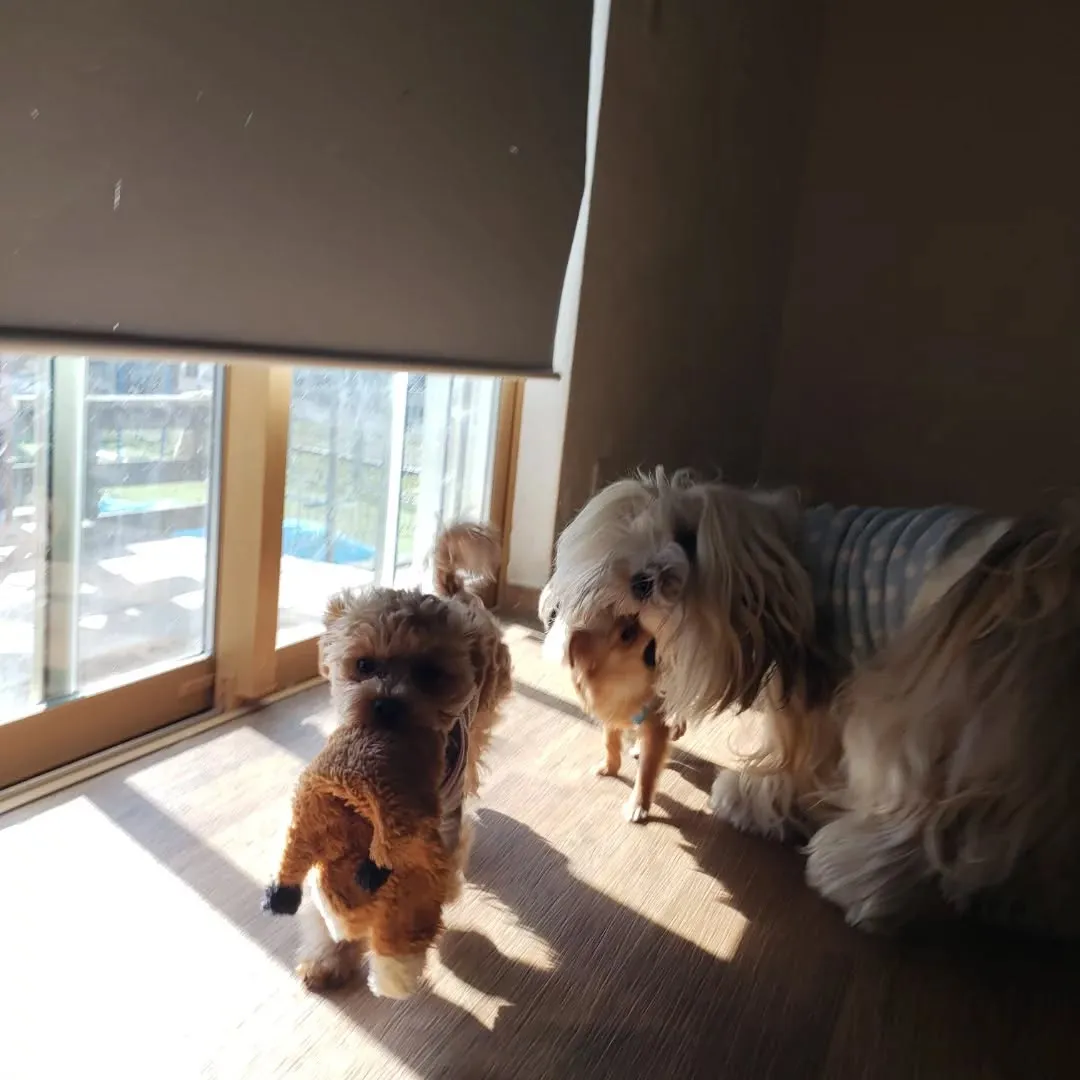 たくさんのちびっこが来てくれました😊