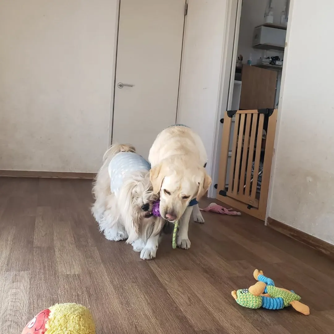 たくさんのちびっこが来てくれました😊