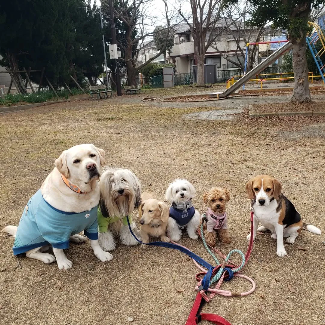 お散歩へ行ってきました😊