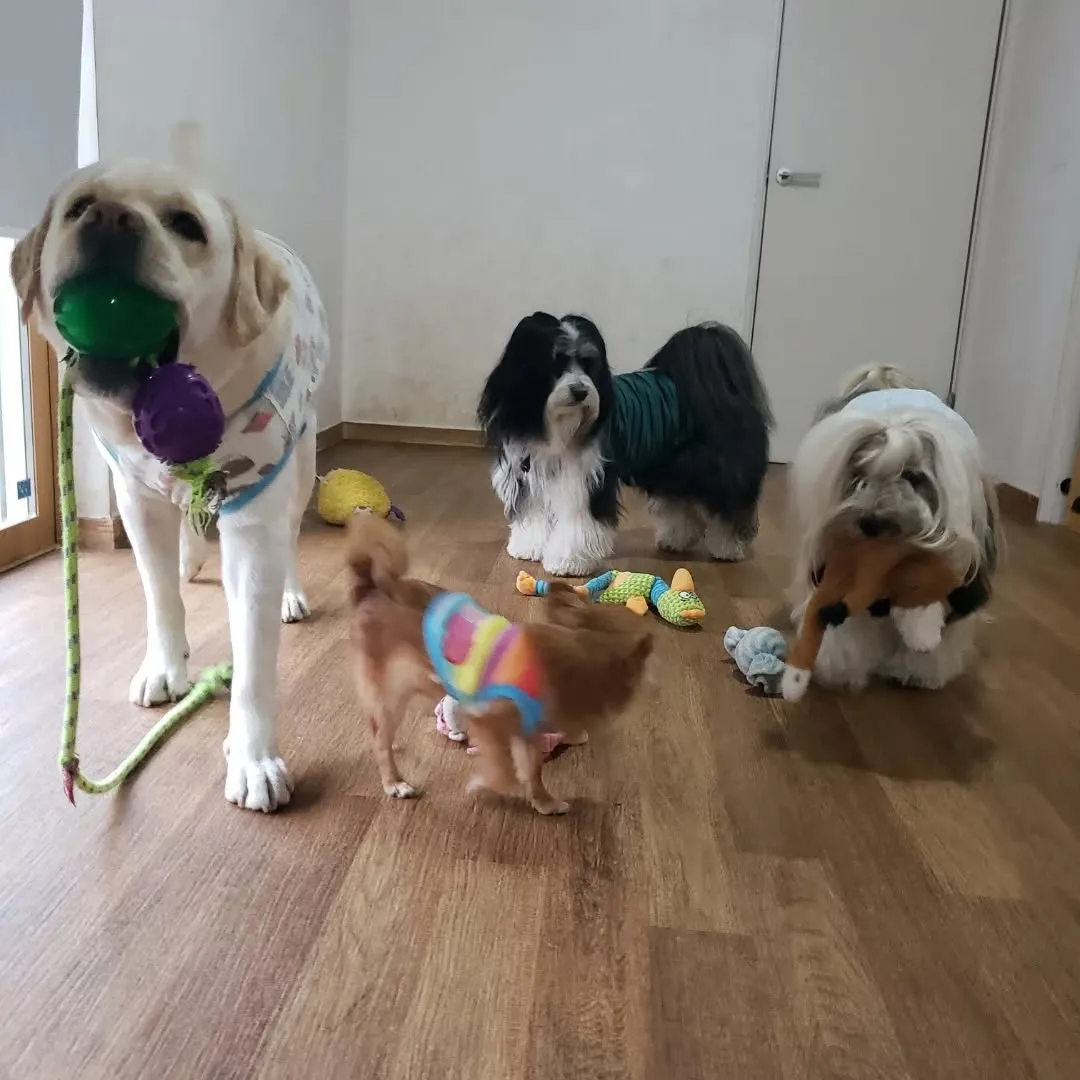 今日は久しぶりの雨☔