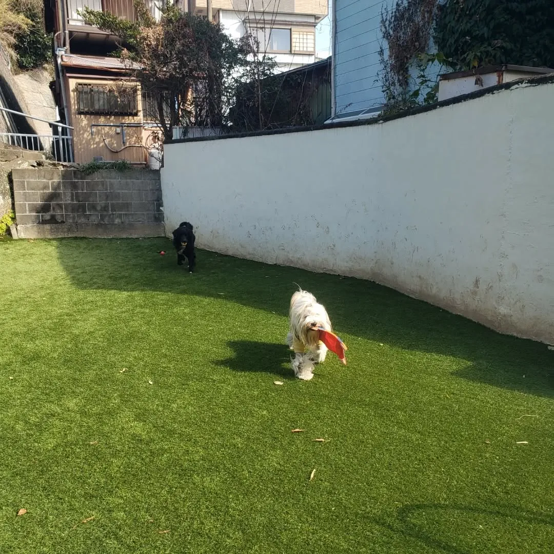 朝はみんなでお散歩へ行ってきました😊