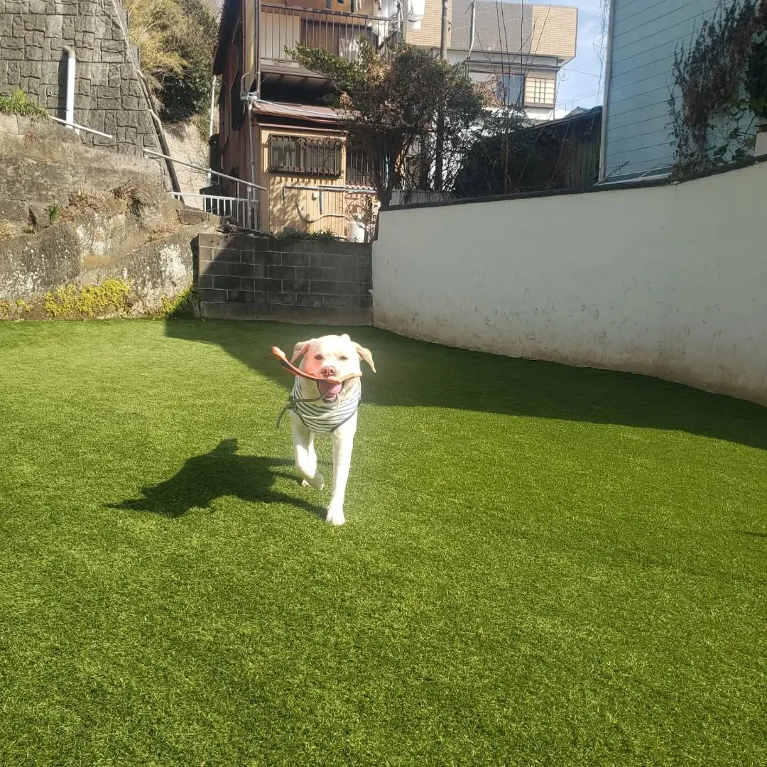 お天気も良くて気持ちがいいねっ😊
