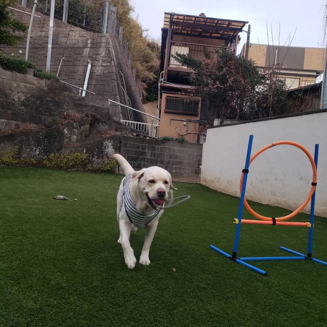 お天気も良くて気持ちがいいねっ😊
