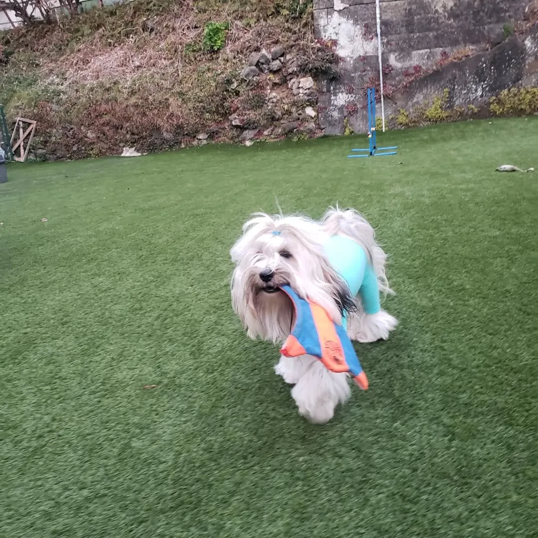 お天気も良くて気持ちがいいねっ😊