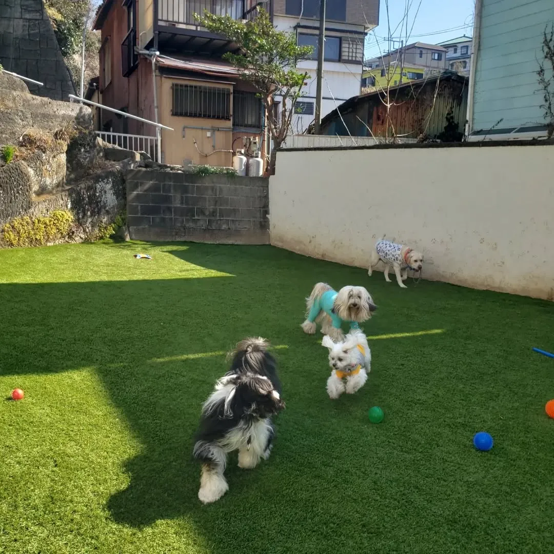 桜の前でパチリッ❗