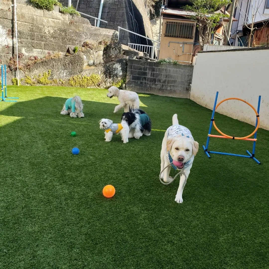 桜の前でパチリッ❗