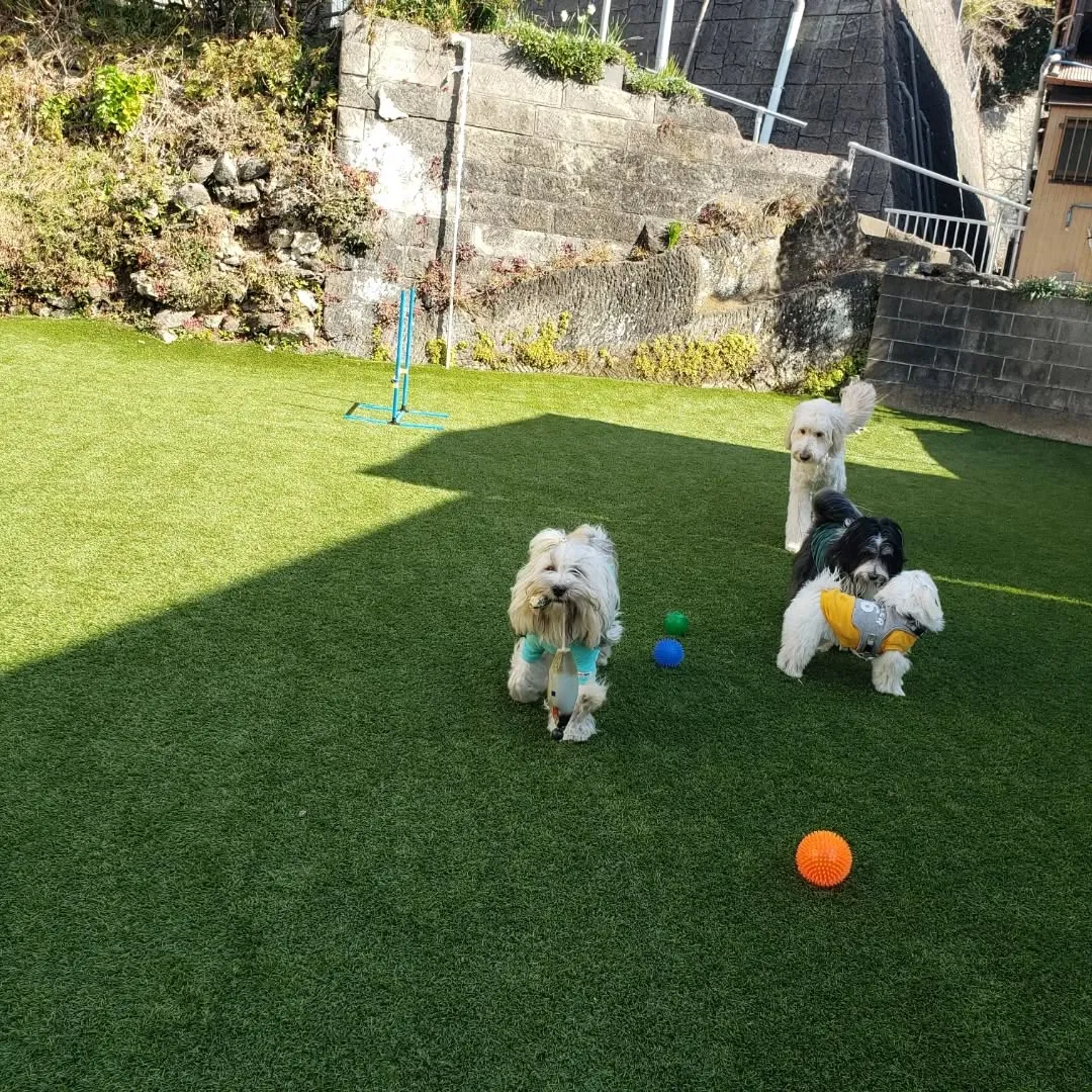 桜の前でパチリッ❗