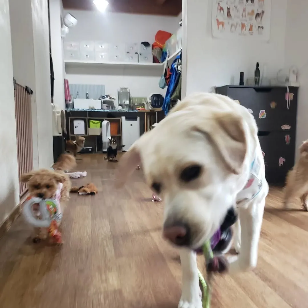 1日中雨は本当に久しぶり。