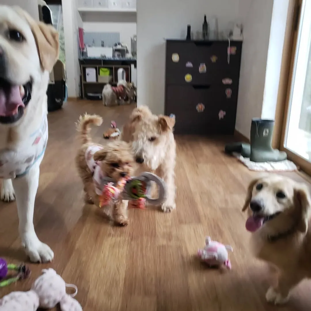 1日中雨は本当に久しぶり。