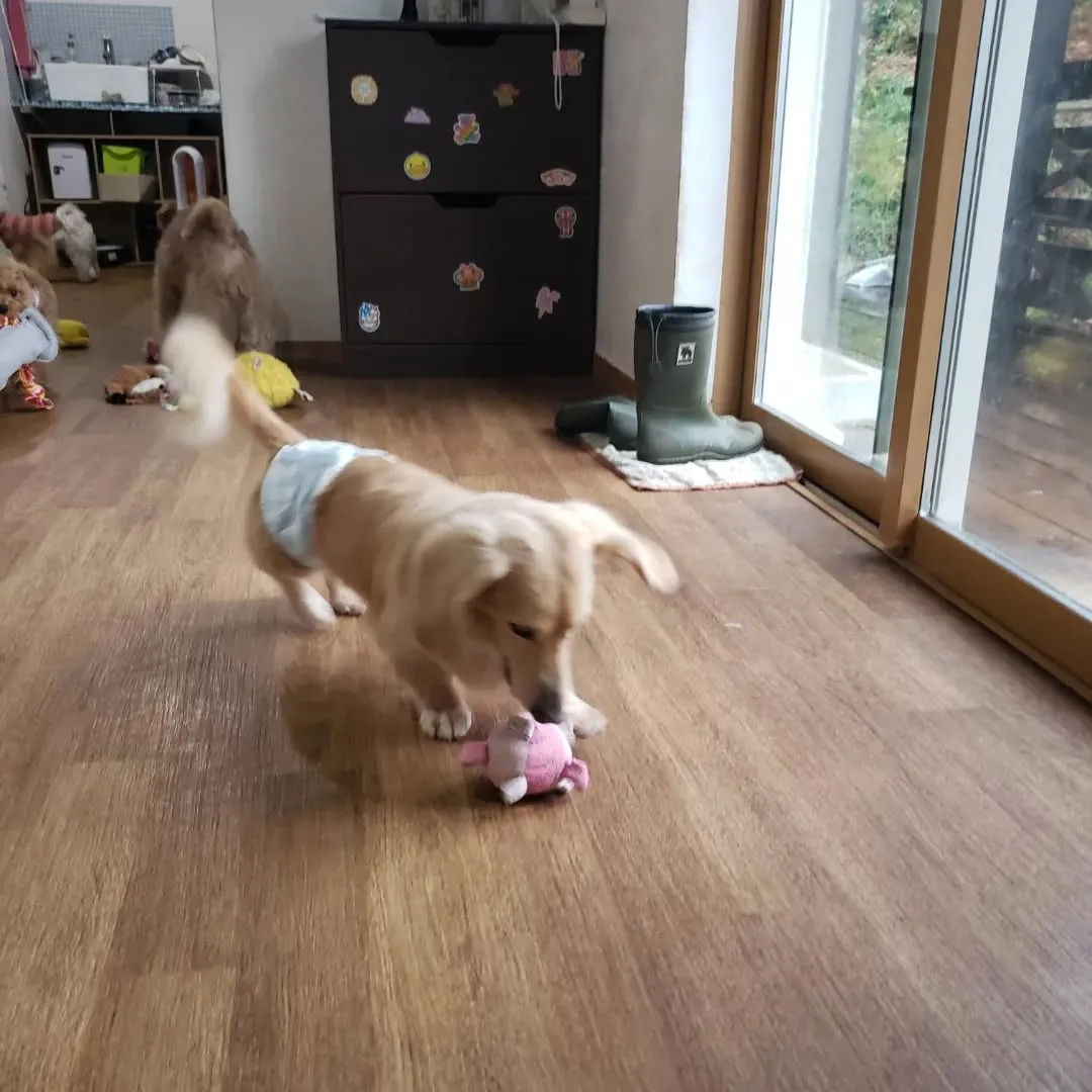 1日中雨は本当に久しぶり。