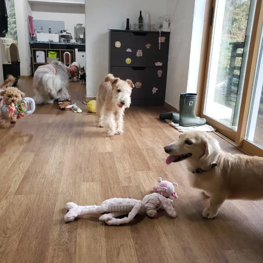 1日中雨は本当に久しぶり。