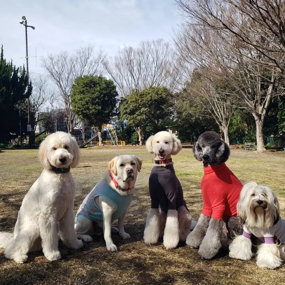 朝はみんなでお散歩へ🎵