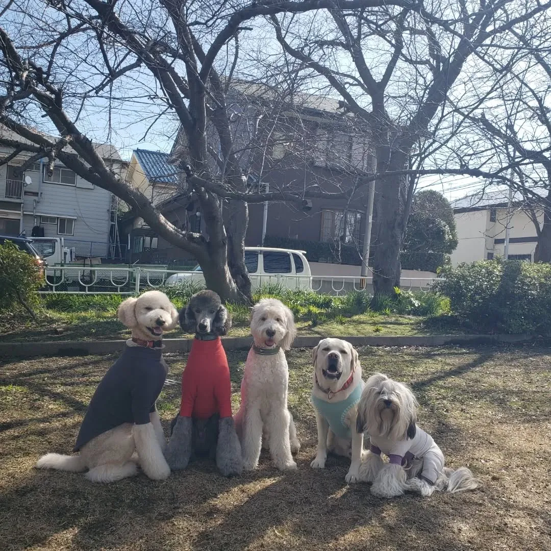 朝はみんなでお散歩へ🎵