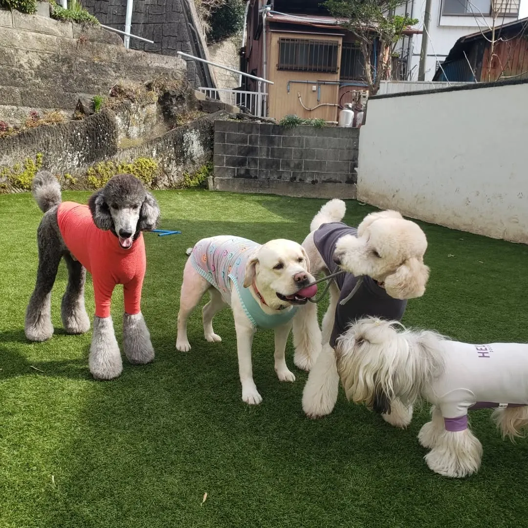 わんぱく男子はよく遊びます😊