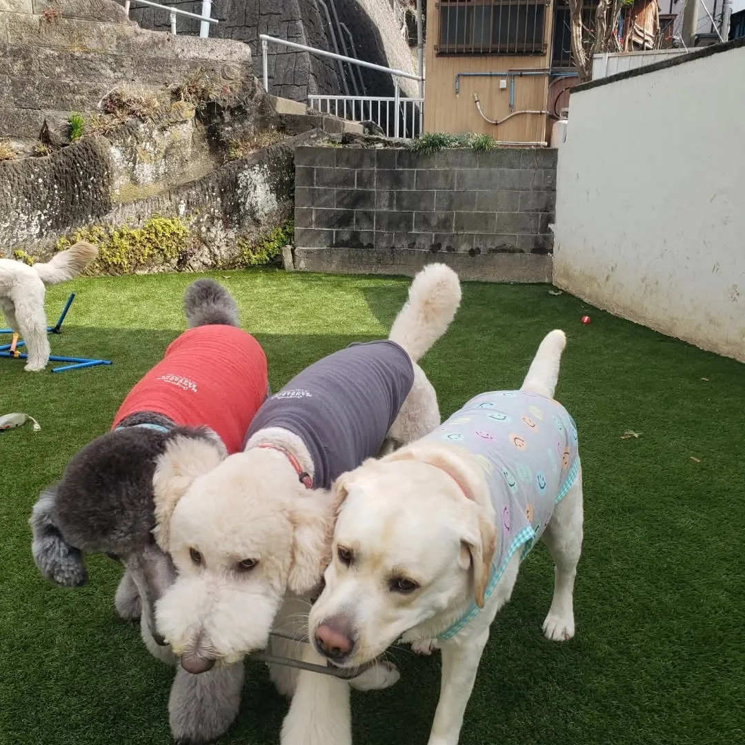 わんぱく男子はよく遊びます😊