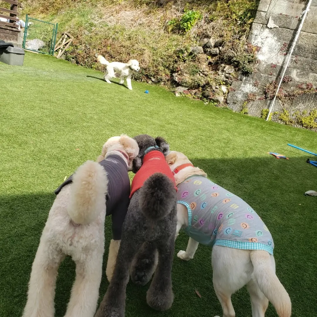 わんぱく男子はよく遊びます😊