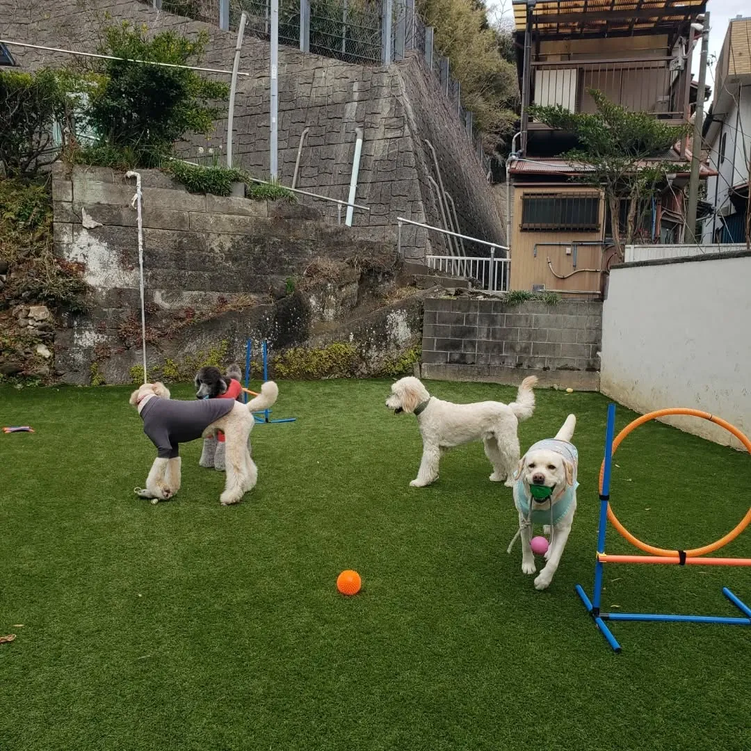 わんぱく男子はよく遊びます😊