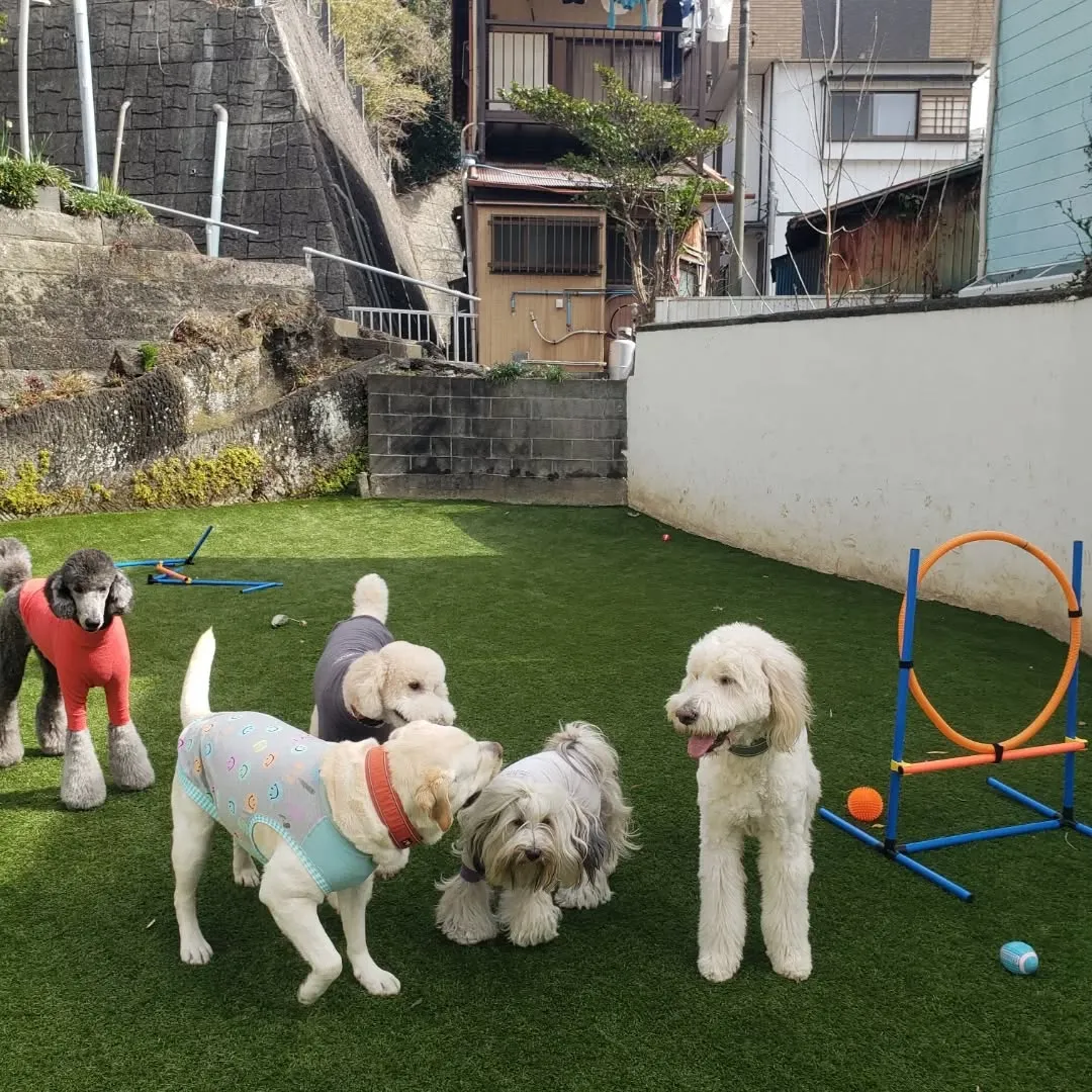 わんぱく男子はよく遊びます😊