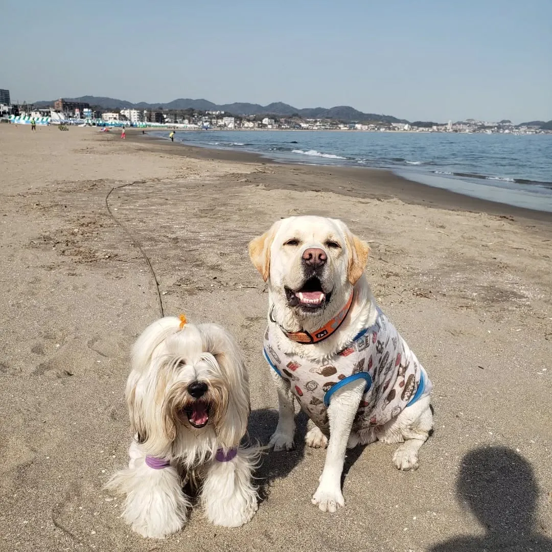 今年初の海岸散歩💓