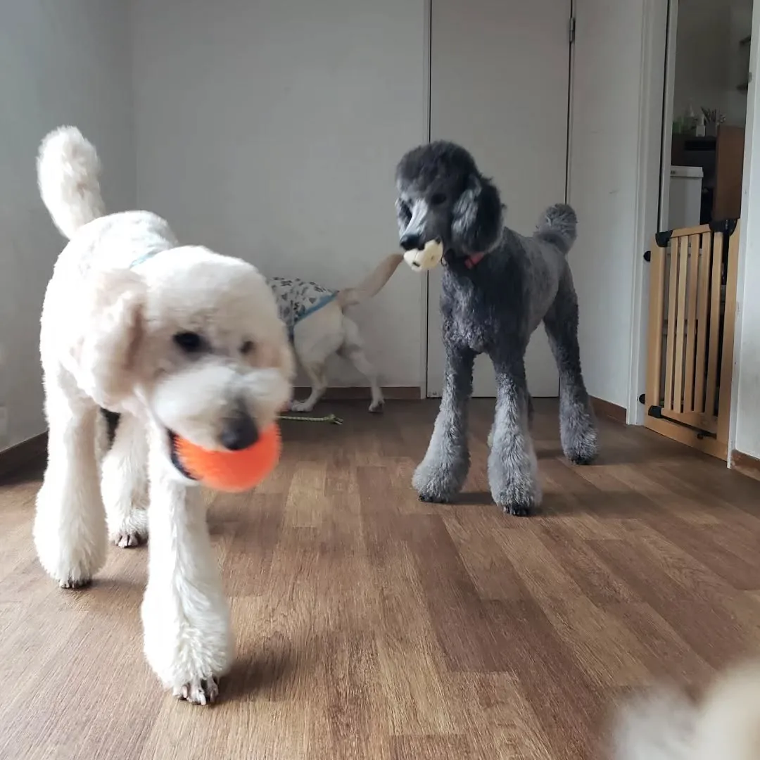 1日中雨☔☔☔💦