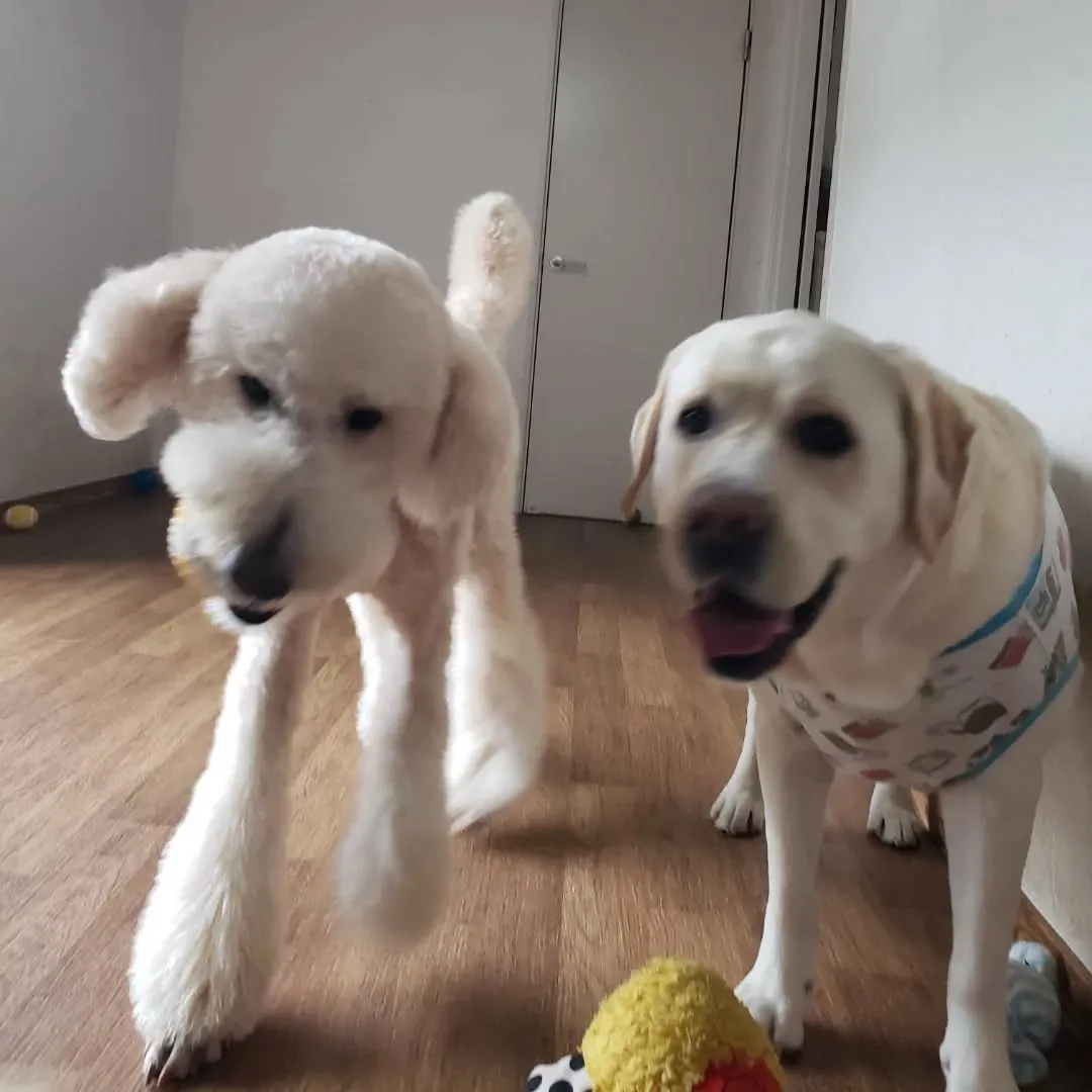 1日中雨☔☔☔💦