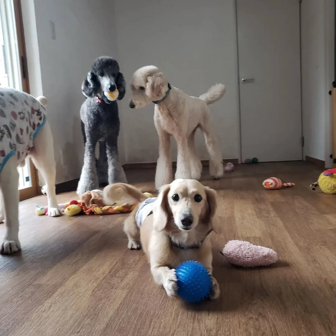 1日中雨☔☔☔💦