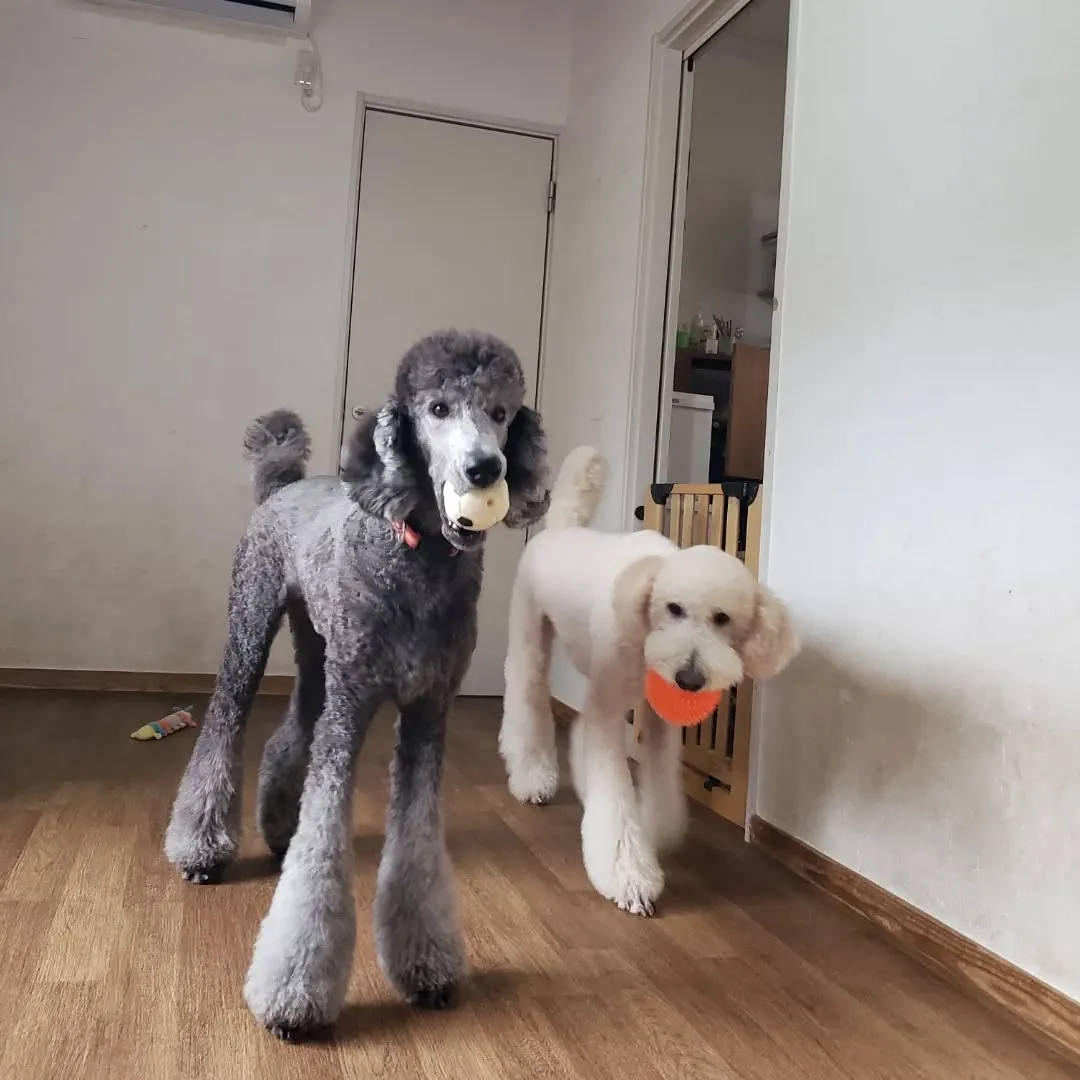 1日中雨☔☔☔💦